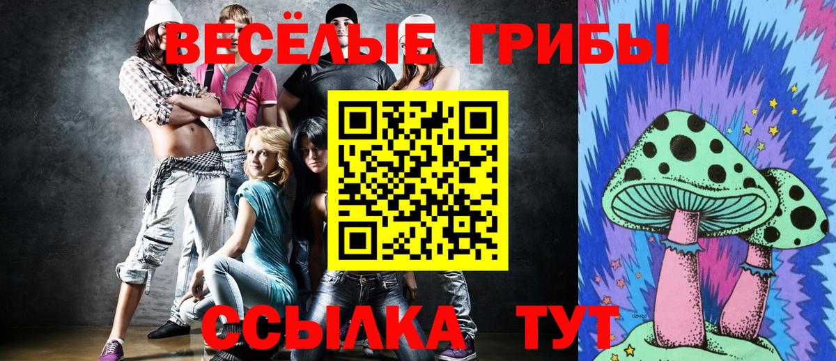 Псилоцибиновые грибы мухоморы Коряжма