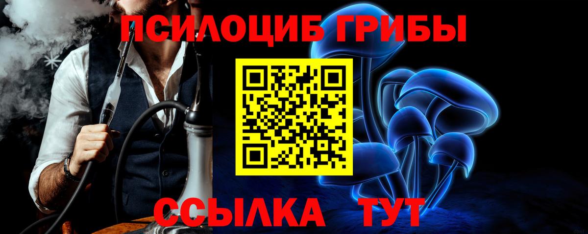 Галлюциногенные грибы Psilocybine cubensis  Вход с VPN  Коряжма 